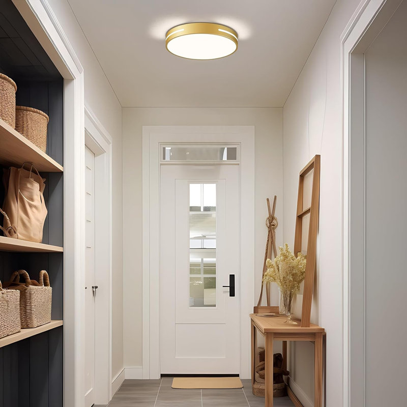 Dimmable LED Ceiling Light 5CCT 2700K 6000K Modern Flush Mount Ceiling Light Minimalist Round Close To Ceiling Lighting Fixtures For Bedroom